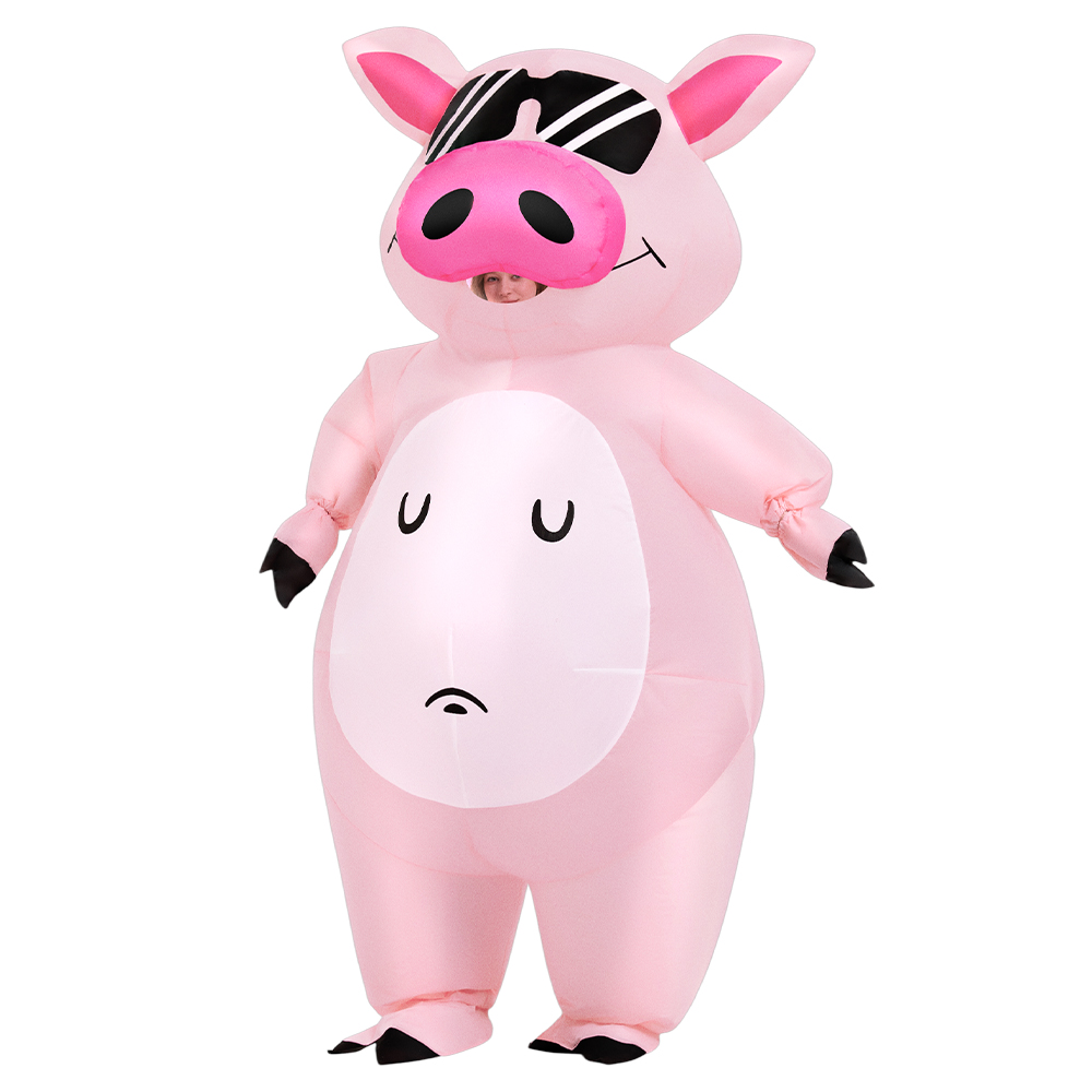 Cartoon Dier Biggetje Opblaasb - Costumes recensie en prijs